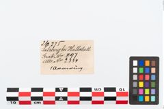 Etikett zu Bronzearmreif (NHMW-PRAE-026375)